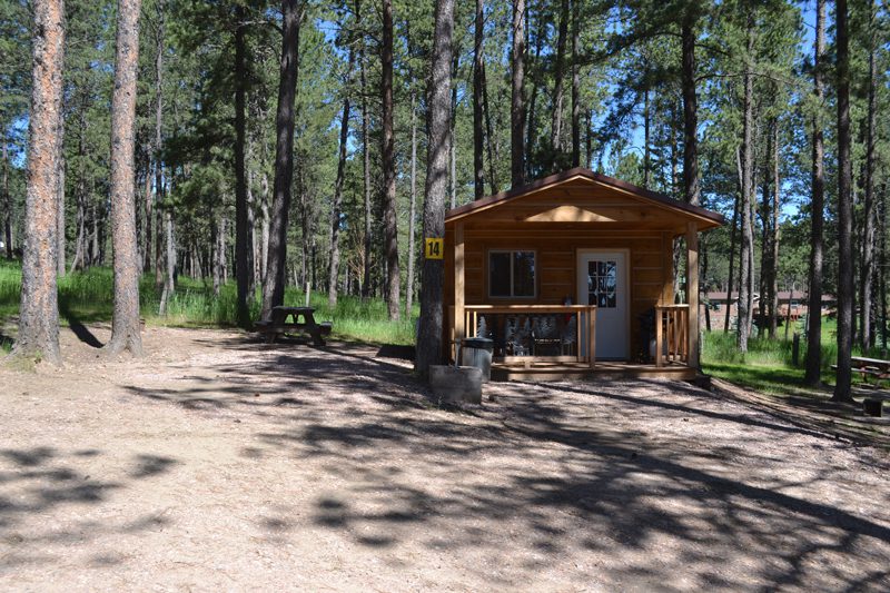 A camper cabin under the pines at Big Pine Campground