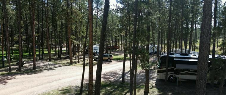 Camping in a forest setting
