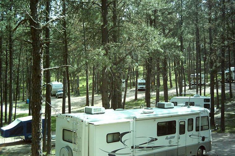 A camper parked under the pines