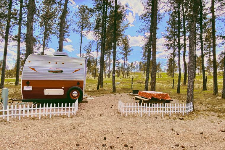 The Retro Trailer from the back